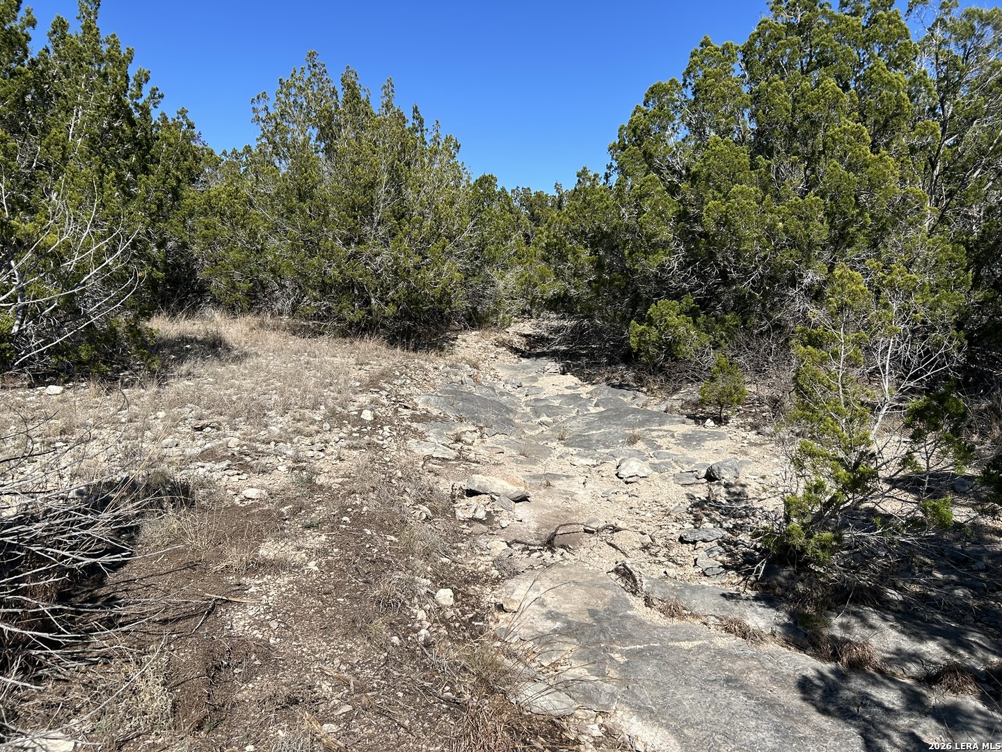 111 Sd 58500 Del Rio, TX 78840 - Photo 3 of 19