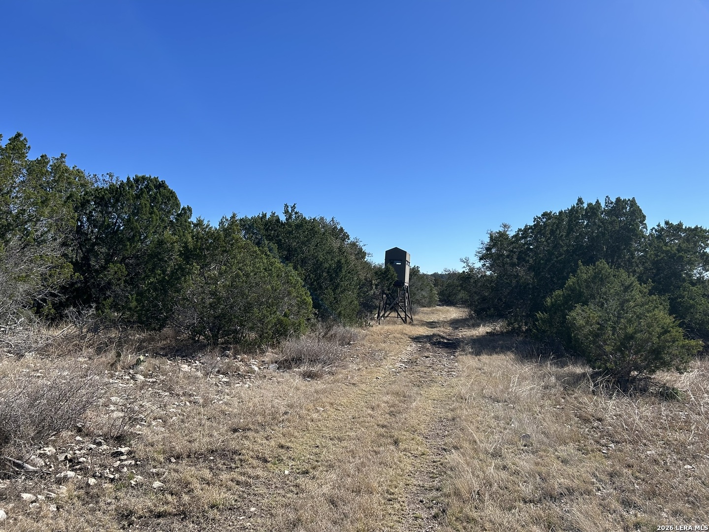 111 Sd 58500 Del Rio, TX 78840 - Photo 5 of 19