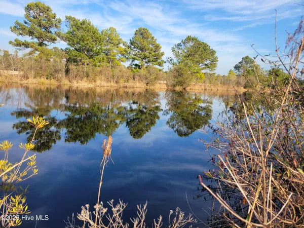$34,900 | Lot 428 Bay Tree Drive, Harrells, NC 28444