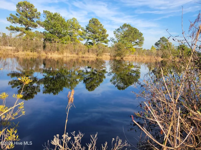 $34,900 | Lot 428 Bay Tree Drive, Harrells, NC 28444