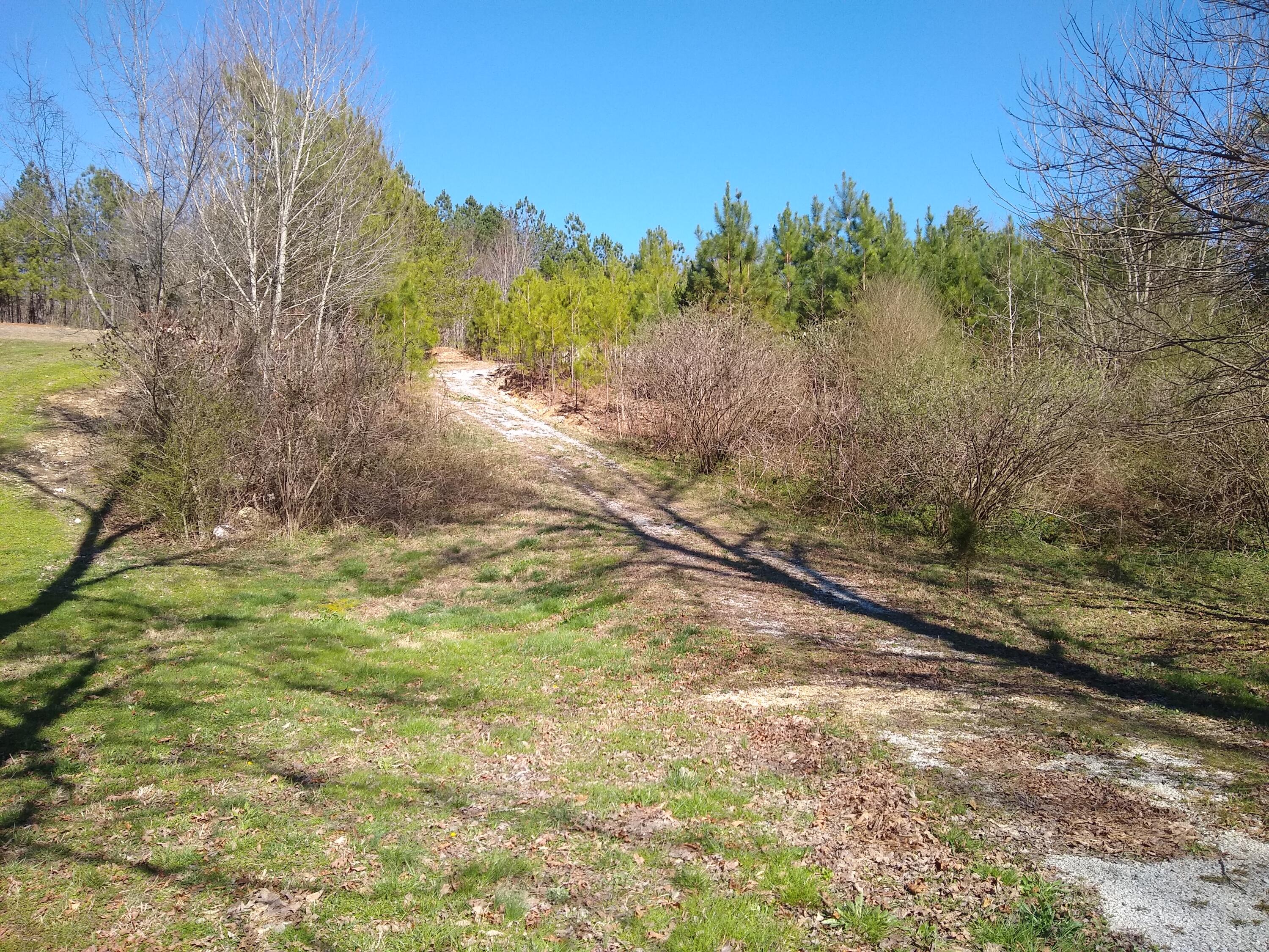 18 Hullander Hollow Road Ringgold, GA 30736 - Photo 2 of 8 IMG_20220313_160832058