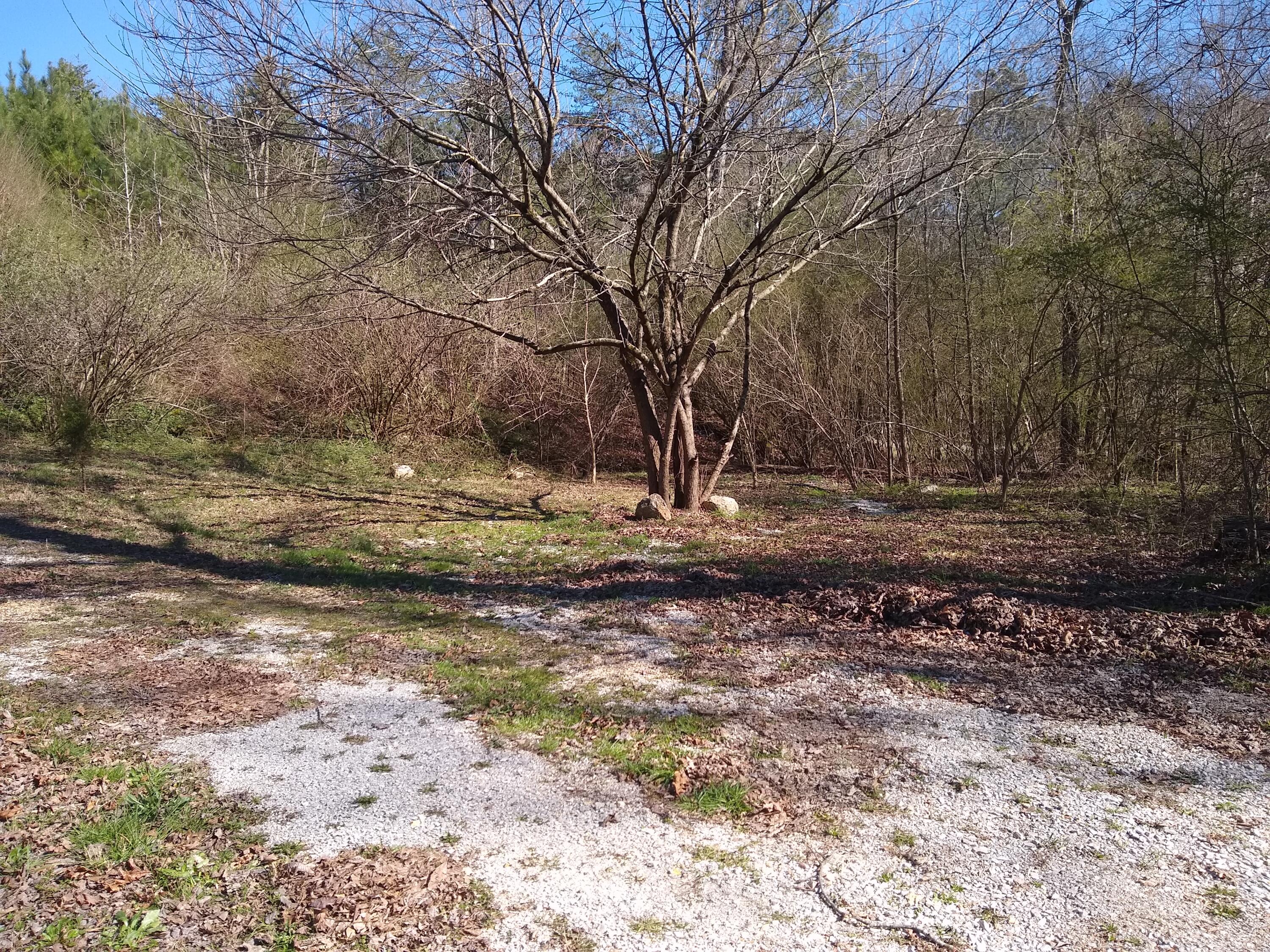 18 Hullander Hollow Road Ringgold, GA 30736 - Photo 3 of 8 IMG_20220313_160827540
