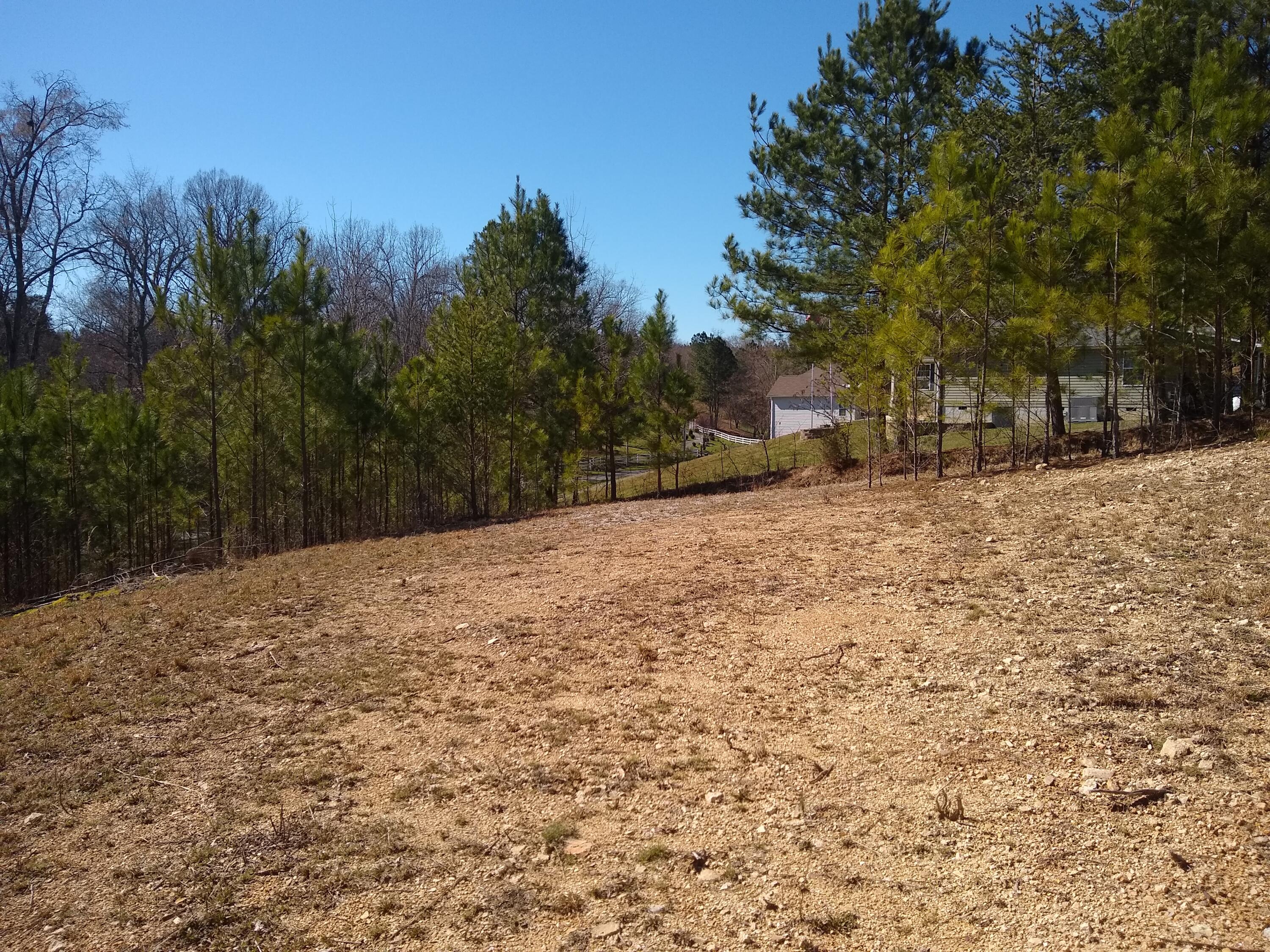 18 Hullander Hollow Road Ringgold, GA 30736 - Photo 4 of 8 IMG_20220313_161209899