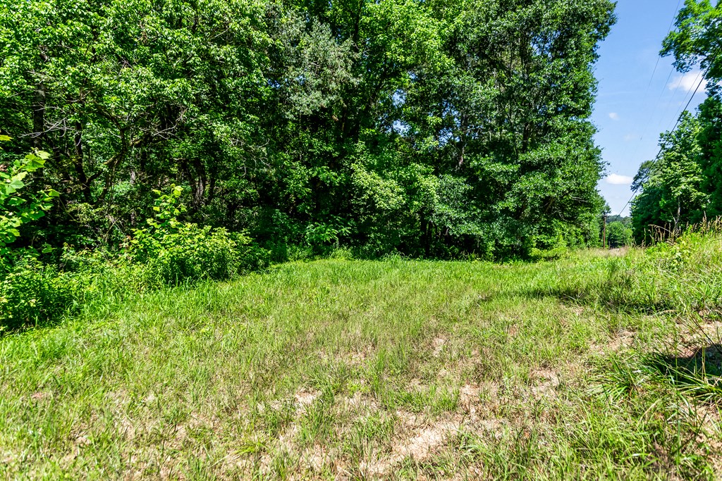 773 Fairview Road Jasper, GA 30143 - Photo 30 of 73