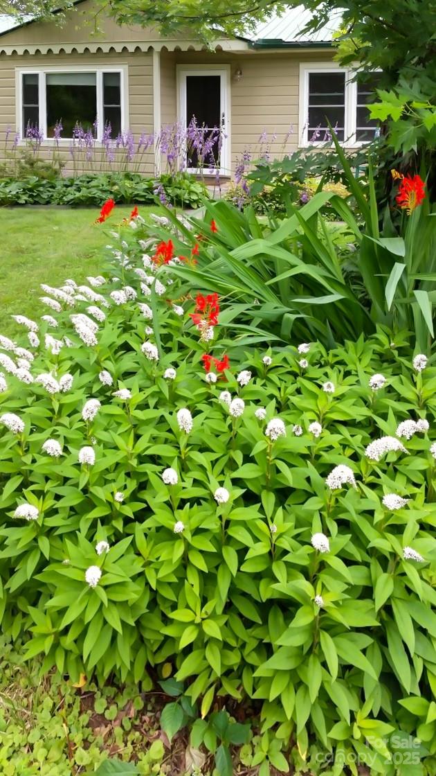 75 Cisco Road Asheville, NC 28805 - Photo 13 of 47 a backyard of a house with table and chairs