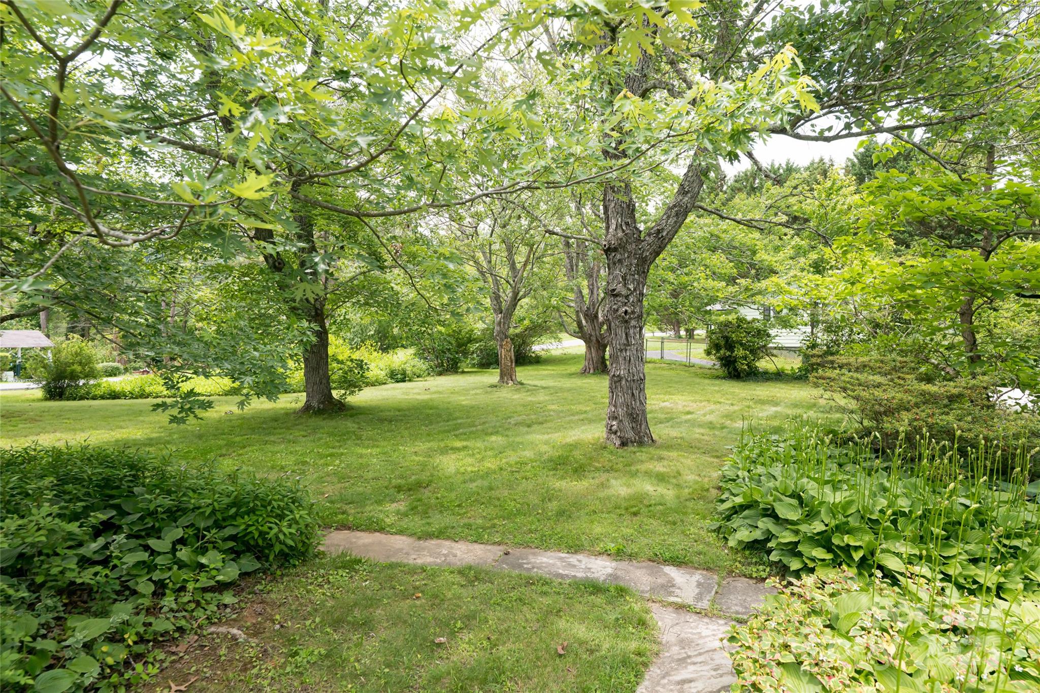 75 Cisco Road Asheville, NC 28805 - Photo 14 of 47 a view of outdoor space with deck and tree