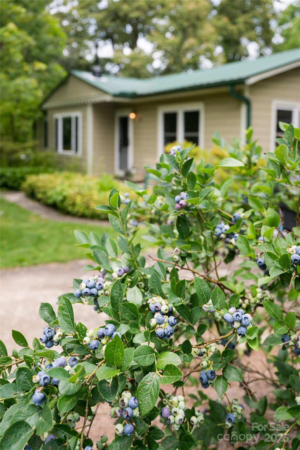 75 Cisco Road Asheville, NC 28805 - Photo 19 of 47 a front view of a house with garden