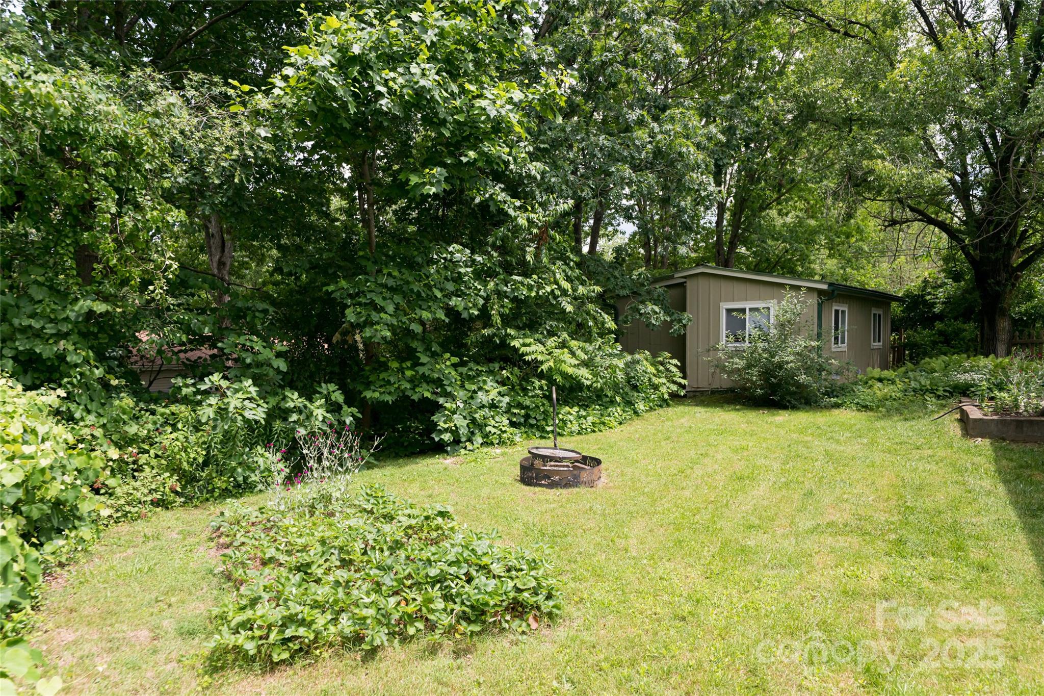 75 Cisco Road Asheville, NC 28805 - Photo 44 of 47 a backyard of a house with large trees and plants