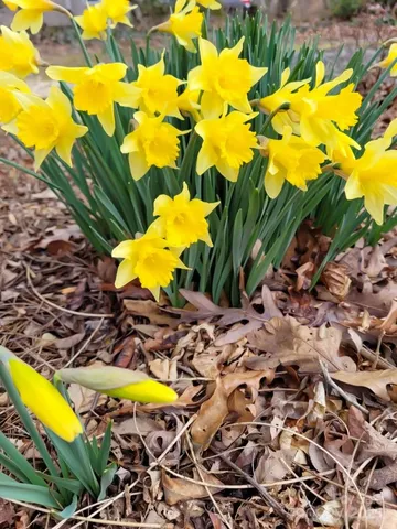 $615,000 | 75 Cisco Road, Asheville, NC 28805