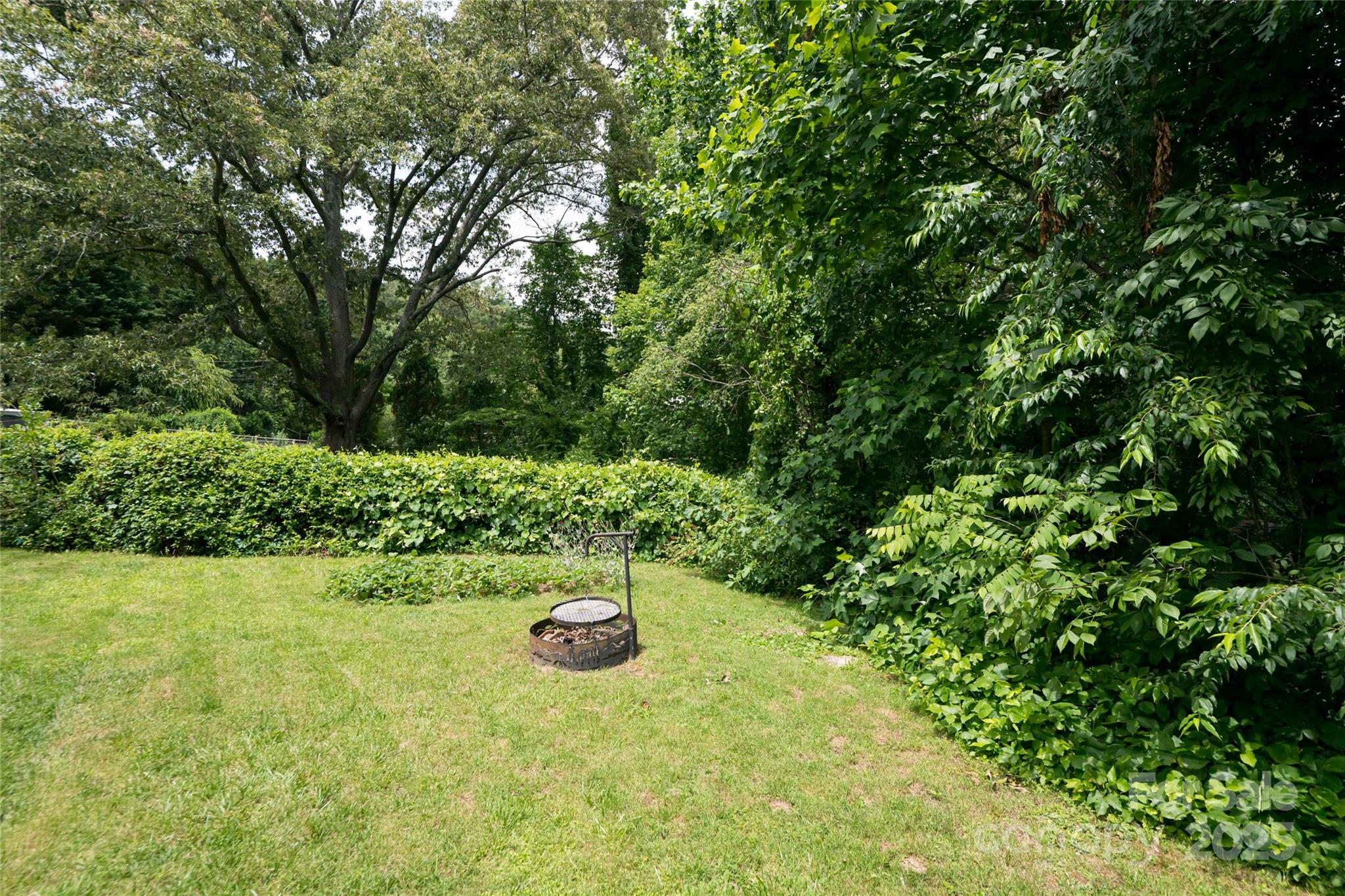 75 Cisco Road Asheville, NC 28805 - Photo 46 of 47 a view of yard with green space
