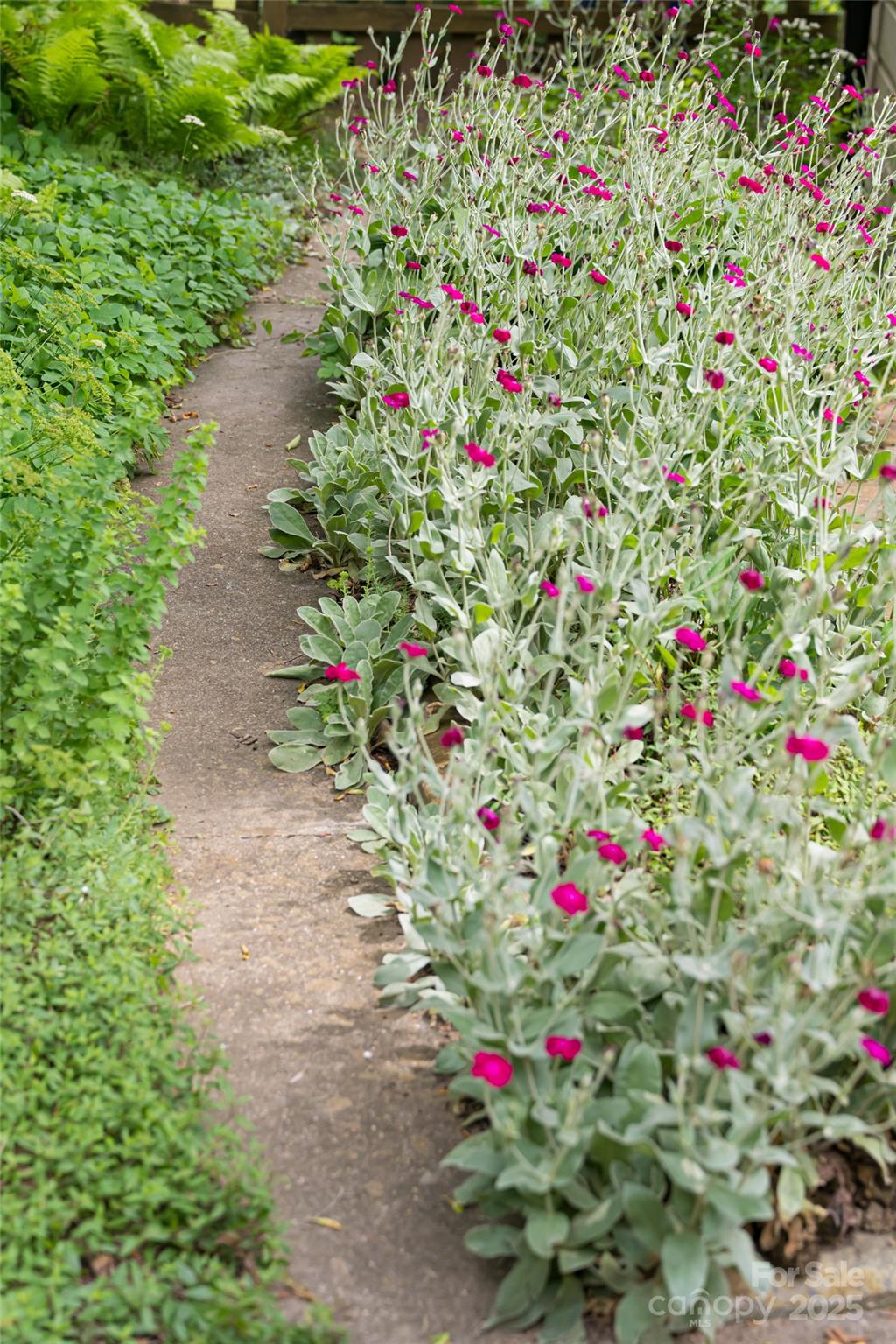 75 Cisco Road Asheville, NC 28805 - Photo 47 of 47