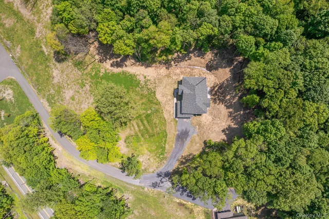 a view of a lush green forest