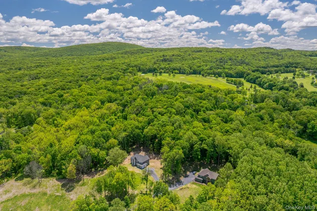 a view of a lake with a house in a forest