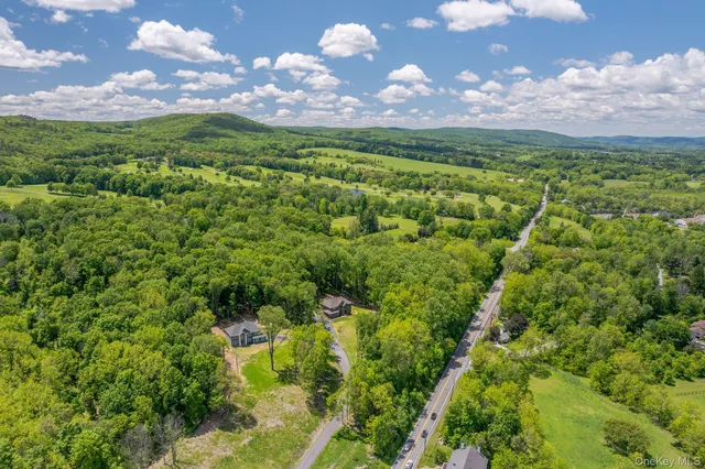 a view of a bunch of plants and trees