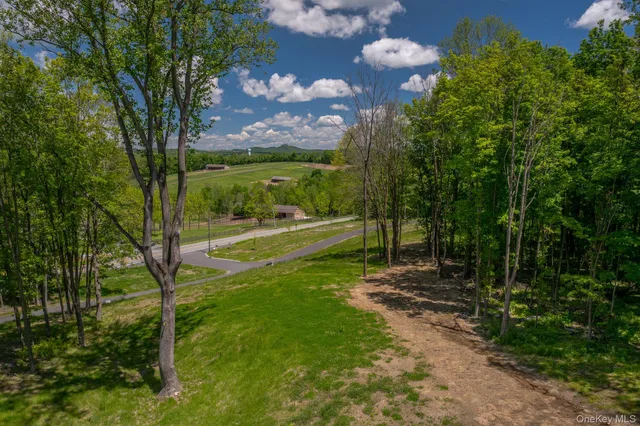 a view of a big yard with lots of green space and a lake view