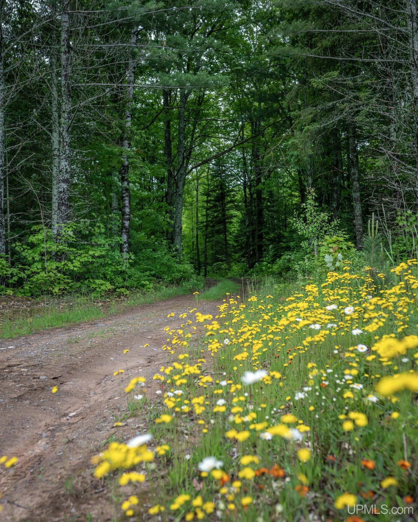 Tbd Tbd County Road Ishpeming, MI 49849 - Photo 6 of 24