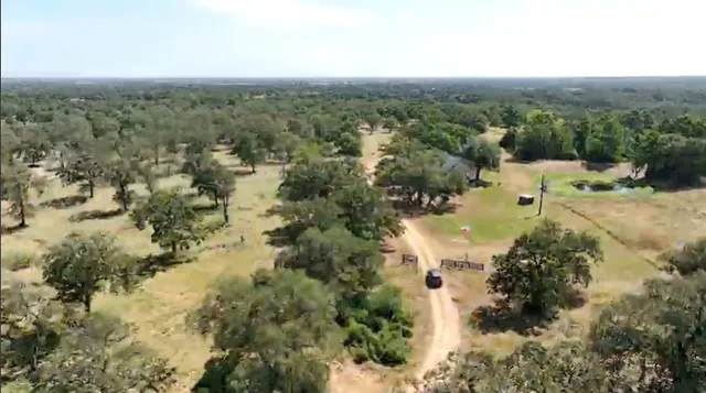 a view of a forest with a lake