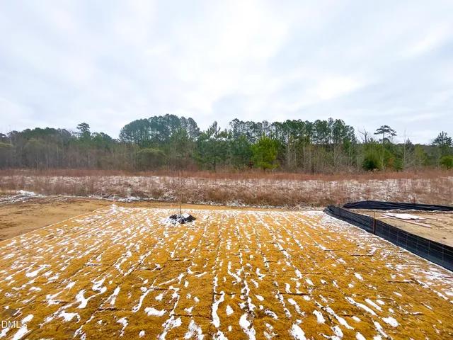 $615,000 | 356 Catheys Creek Circle, Wendell, NC 27591