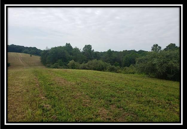 0 Feathers Road Logan, OH 43138 - Photo 2 of 49 Gallery Image 2