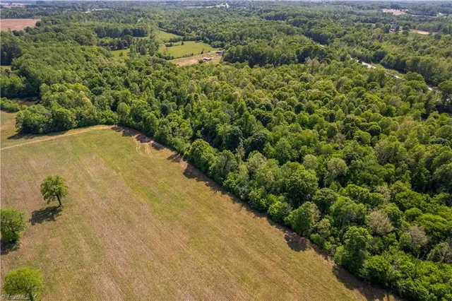 $169,900 | 0 Highway 801, Woodleaf, NC 27054