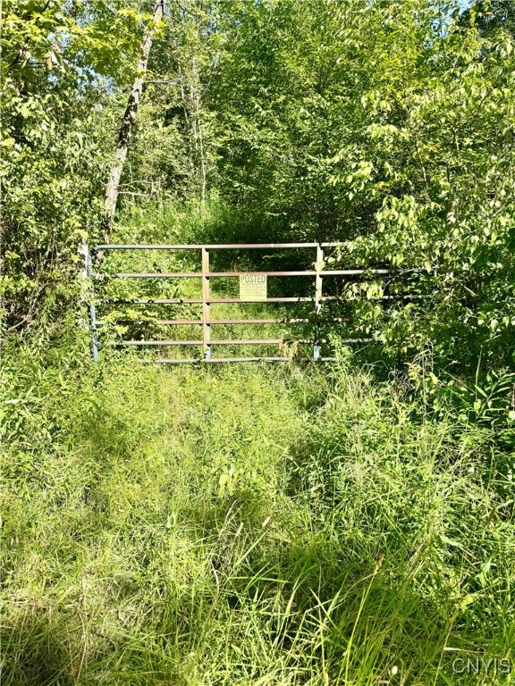 1792 Steve Russell Hill Road Freetown, NY 13803 - Photo 2 of 6