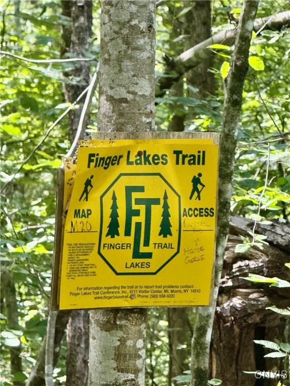 1792 Steve Russell Hill Road Freetown, NY 13803 - Photo 3 of 6