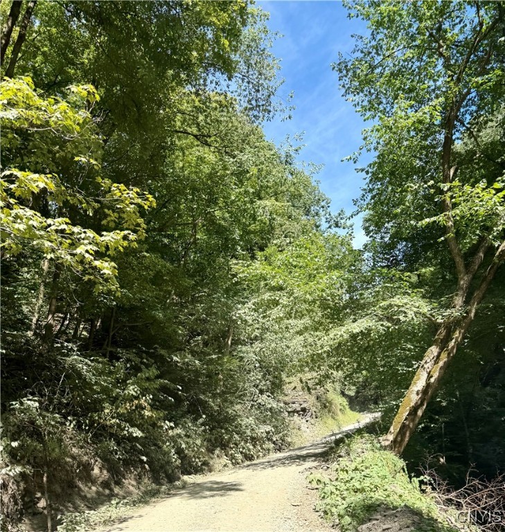 1792 Steve Russell Hill Road Freetown, NY 13803 - Photo 4 of 6