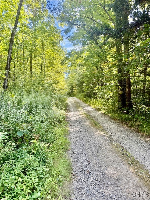 1792 Steve Russell Hill Road Freetown, NY 13803 - Photo 5 of 6