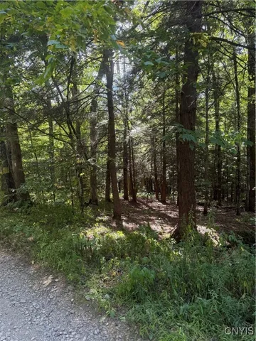 $144,900 | 1792 Steve Russell Hill Road, Freetown, NY 13803