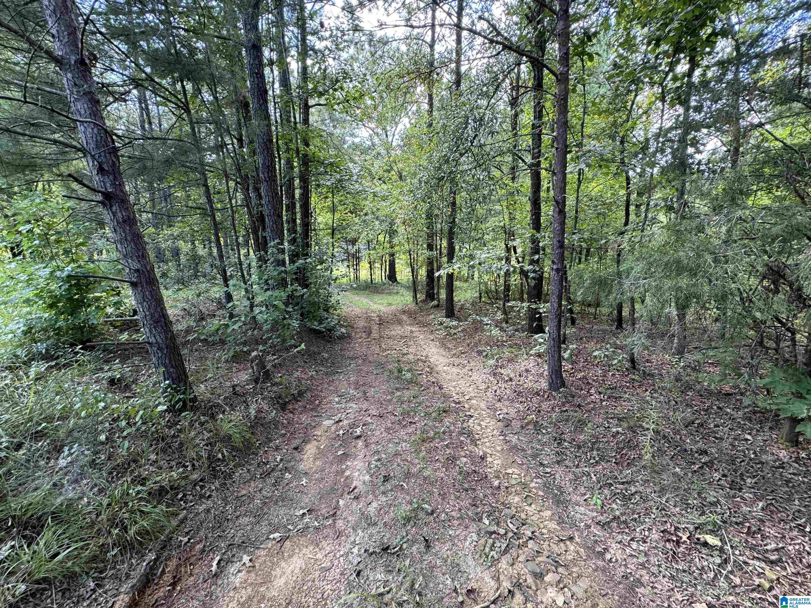 20394 County Road 55 Sterrett, AL 35147 - Photo 30 of 43