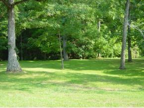 1603 Ryder Church Road Bluff City, TN 37618 - Photo 6 of 9 Photo 6