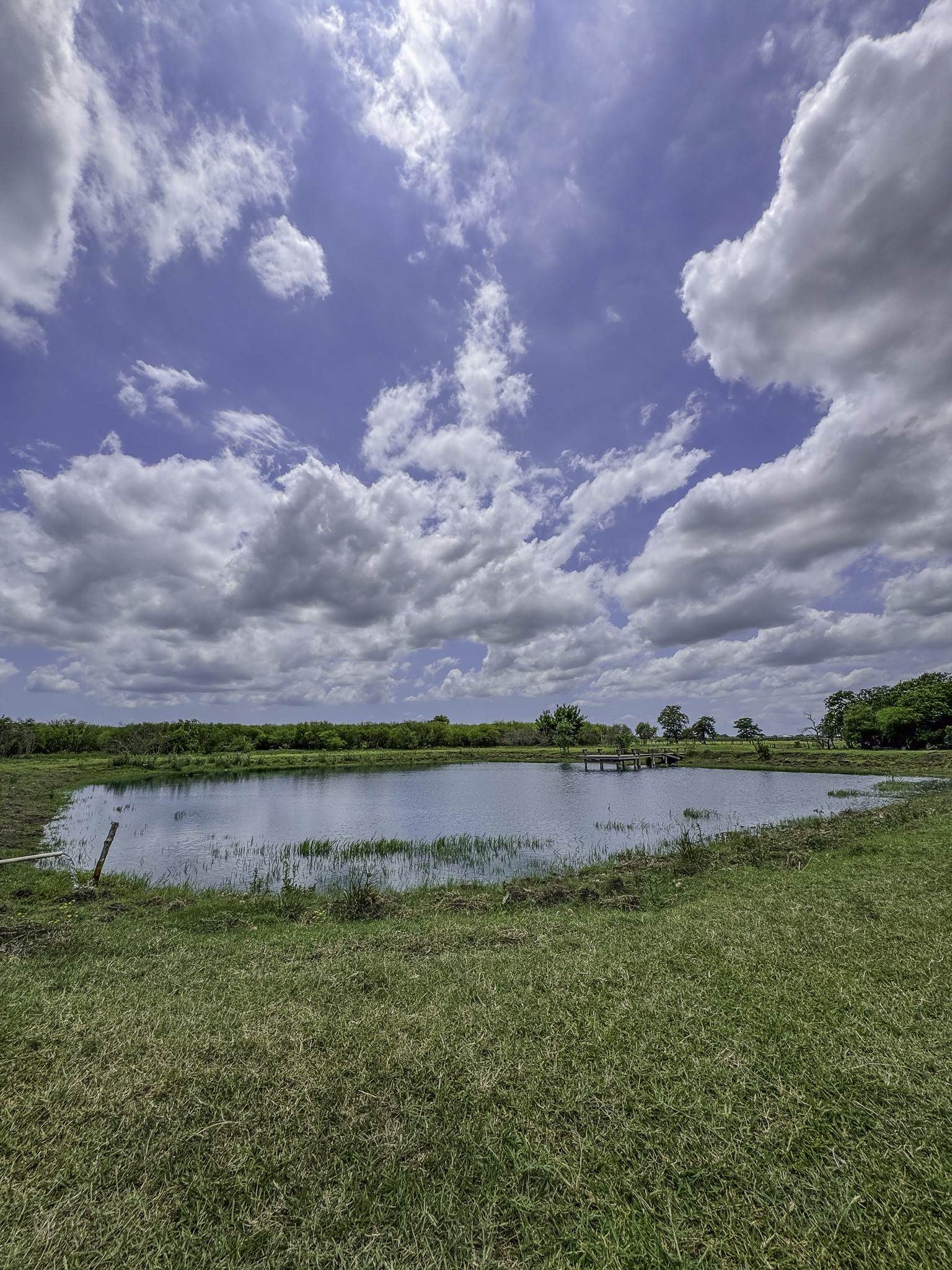 11810 Zamanek Road Needville, TX 77461 - Photo 26 of 30 a view of a lake with houses in the back