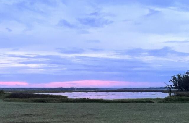 1636 Wharf Ferry Road Edisto Island, SC 29438 - Photo 7 of 28 IMG_3547