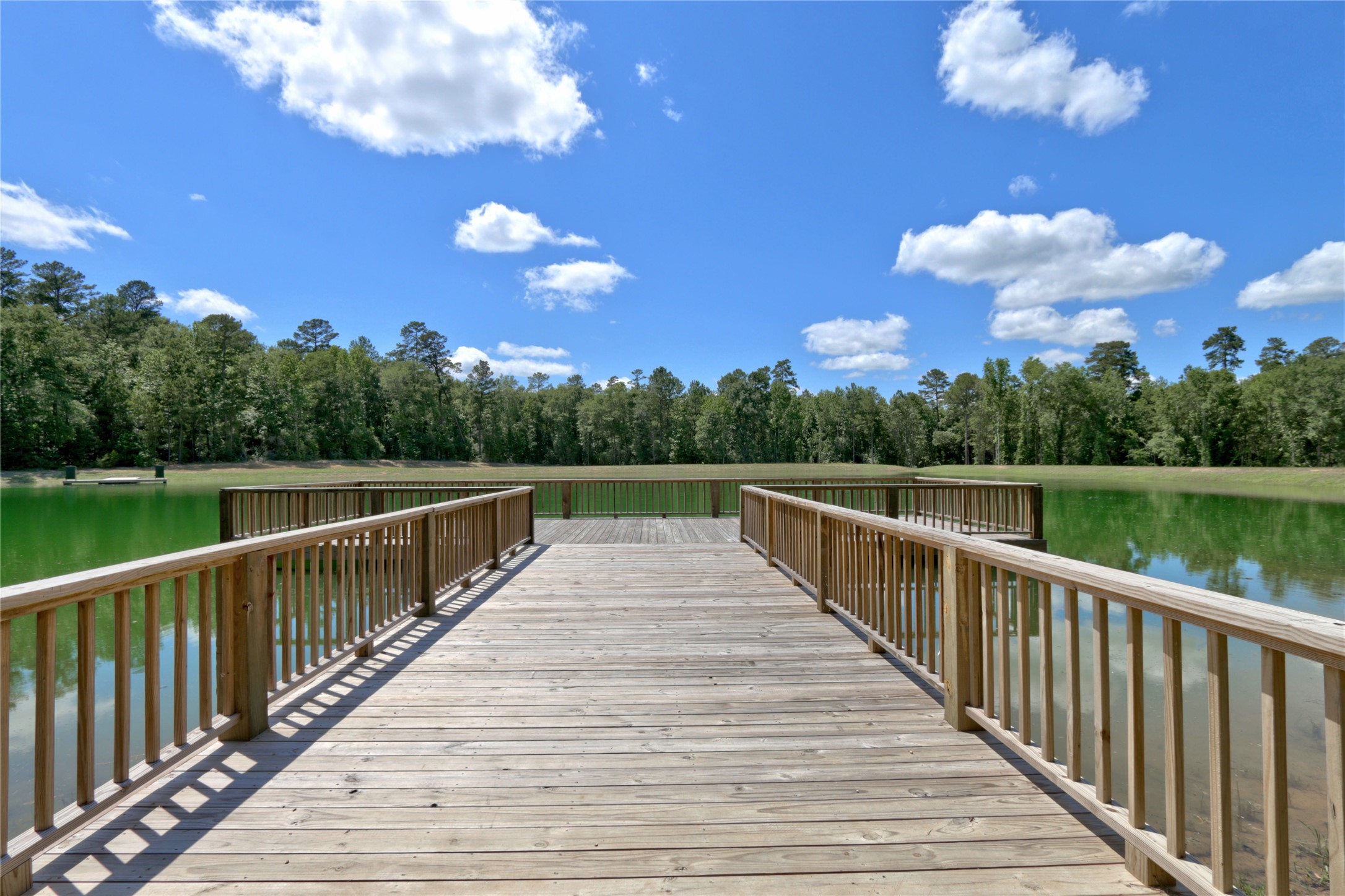 258 Heartland Road New Waverly, TX 77358 - Photo 23 of 27 Community Dock