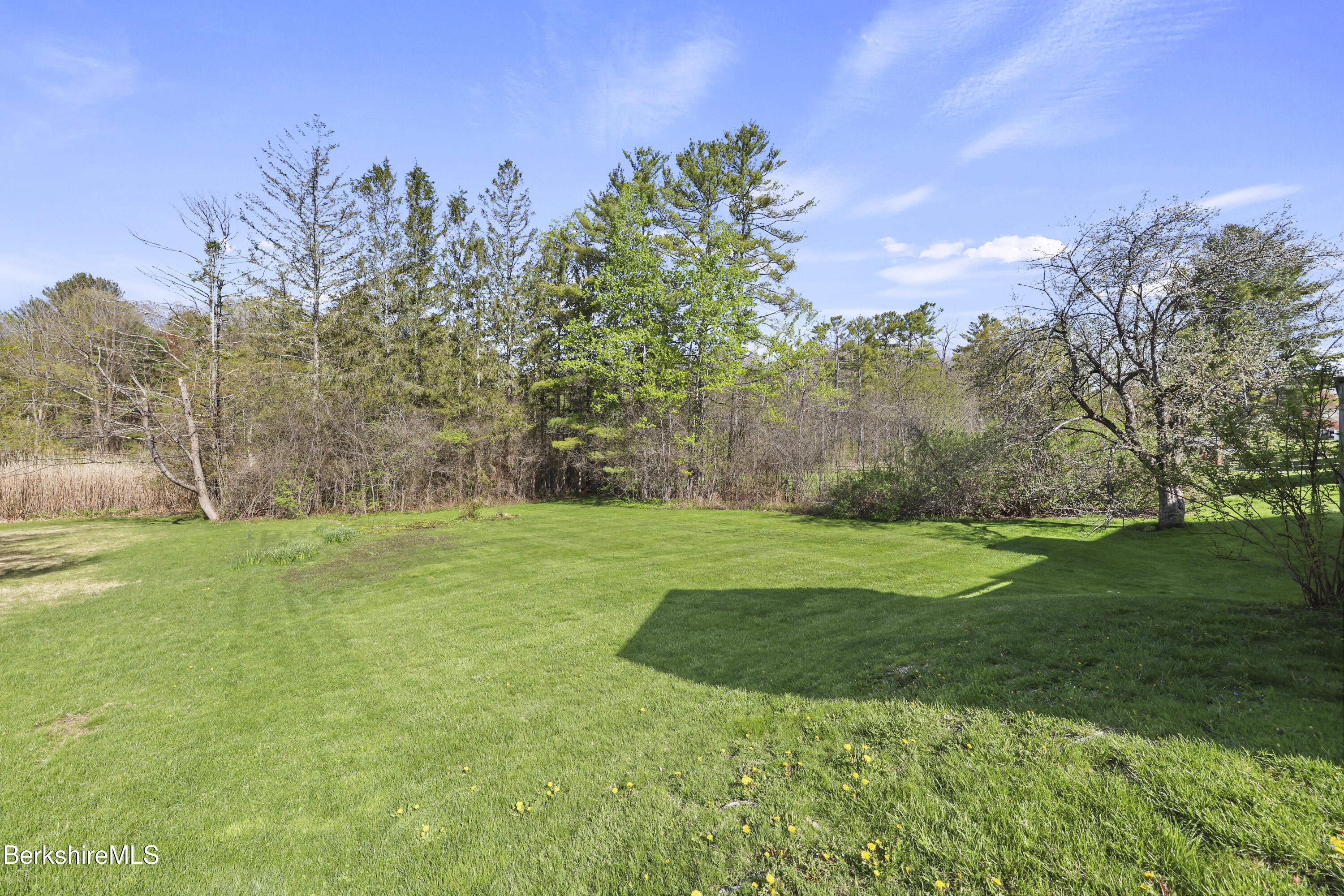 194 Eleanor Road Pittsfield, MA 01201 - Photo 33 of 39 185 Back Yard