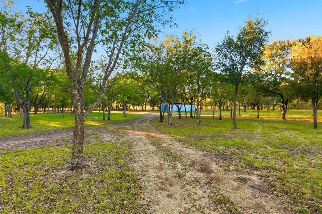 2401 Bear Creek Road Aledo, TX 76008 - Photo 28 of 37 View of street