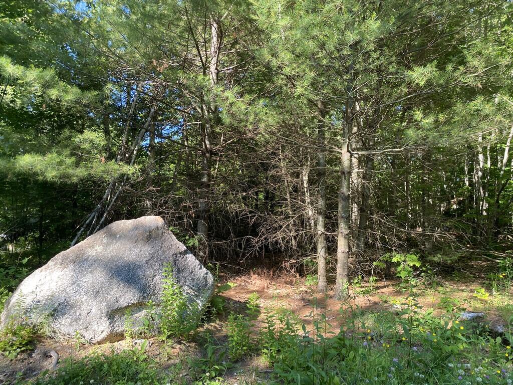 161 Green Lake Road Ellsworth, ME 04605 - Photo 4 of 7 IMG-6417 (Copy)