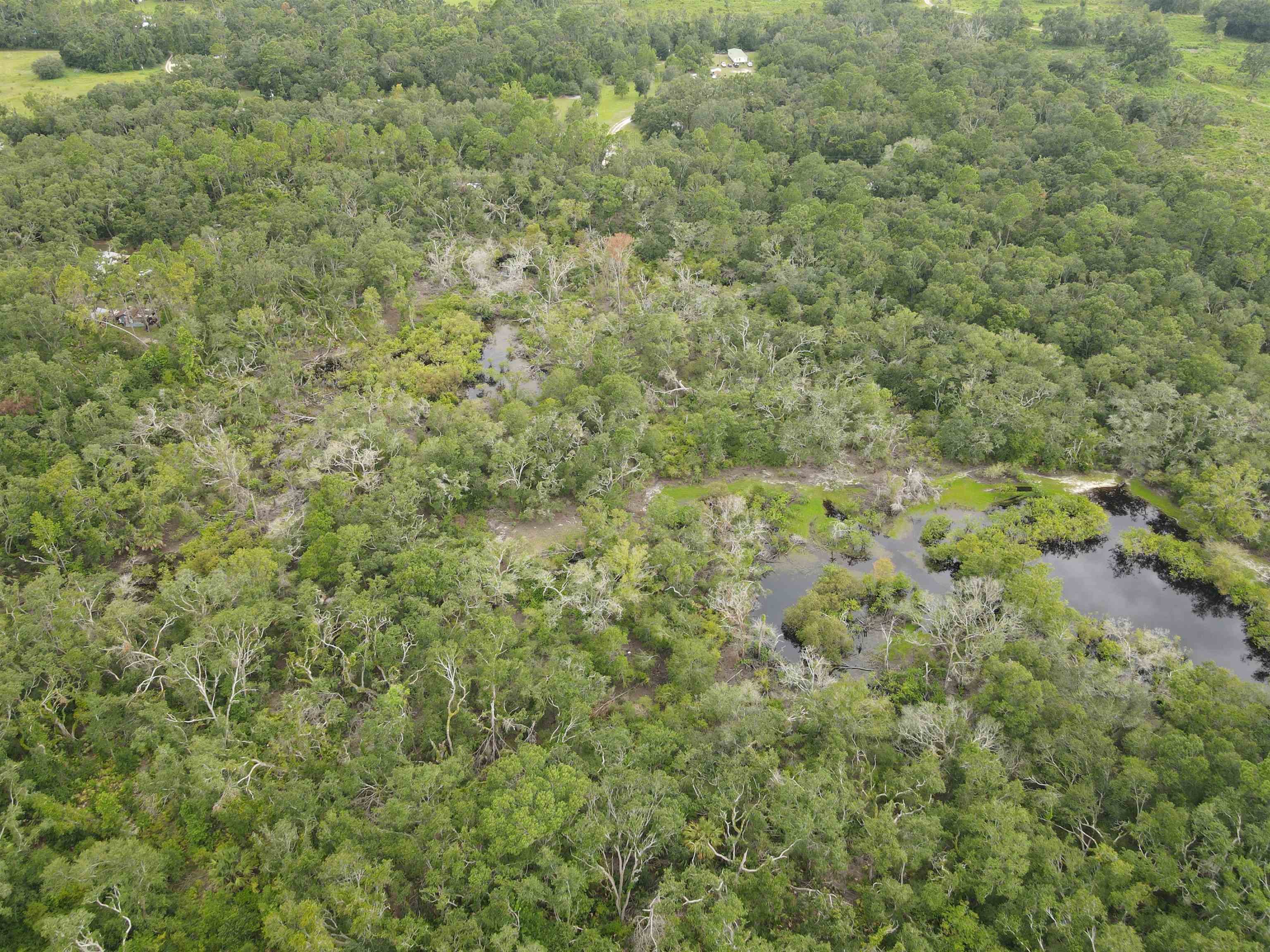 0 Kays Road Perry, FL 32347 - Photo 1 of 19