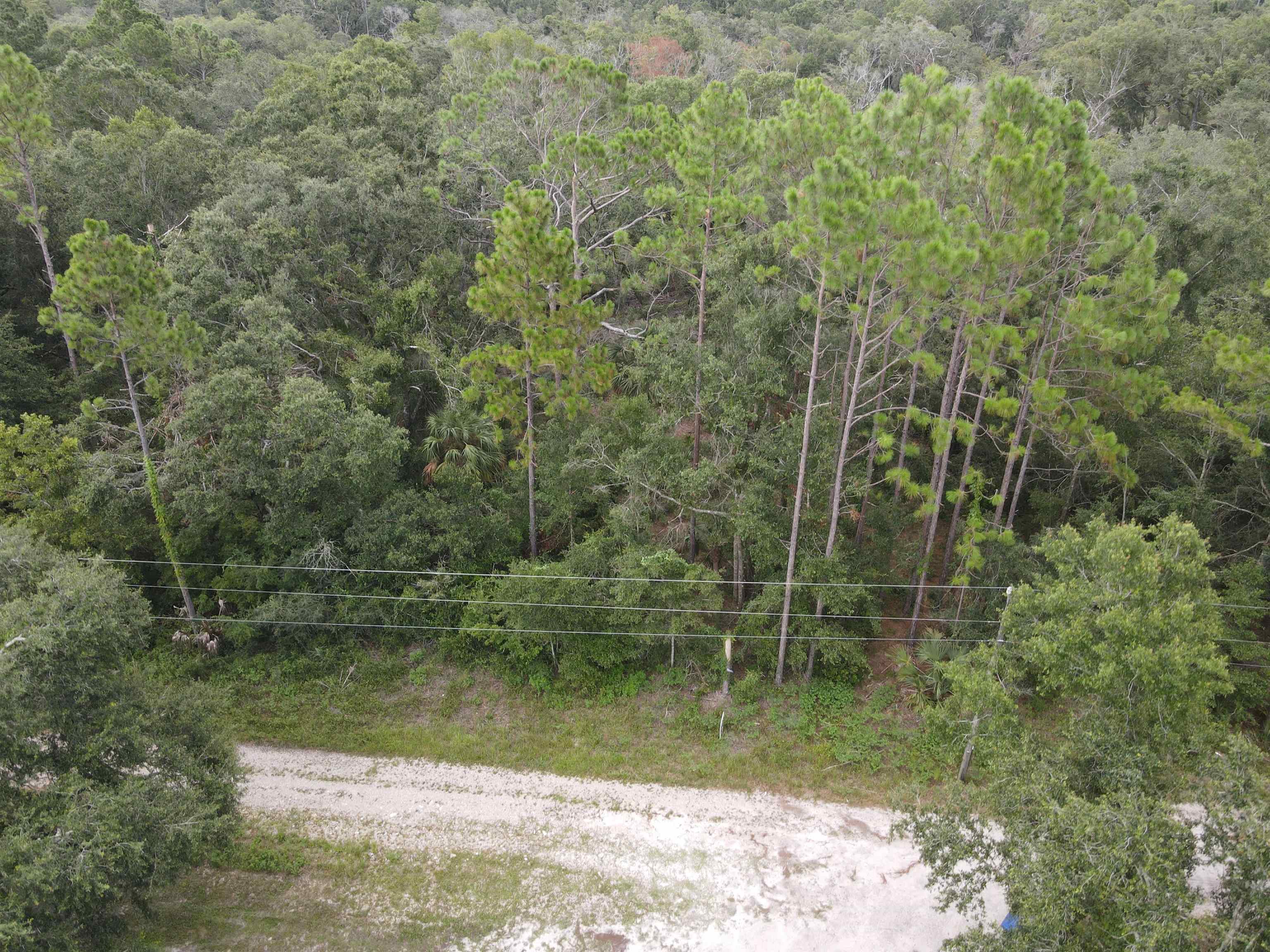 0 Kays Road Perry, FL 32347 - Photo 12 of 19