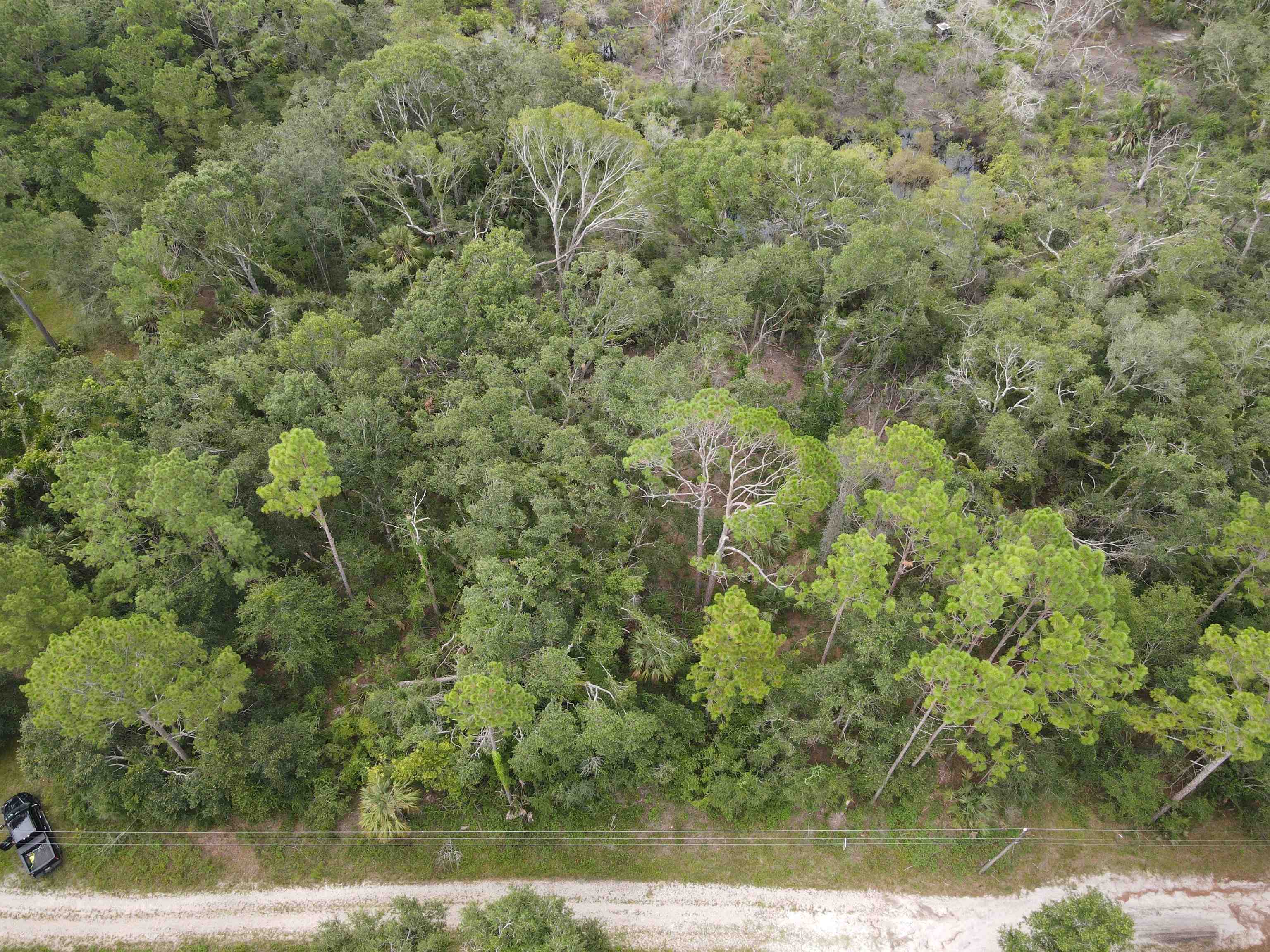 0 Kays Road Perry, FL 32347 - Photo 18 of 19