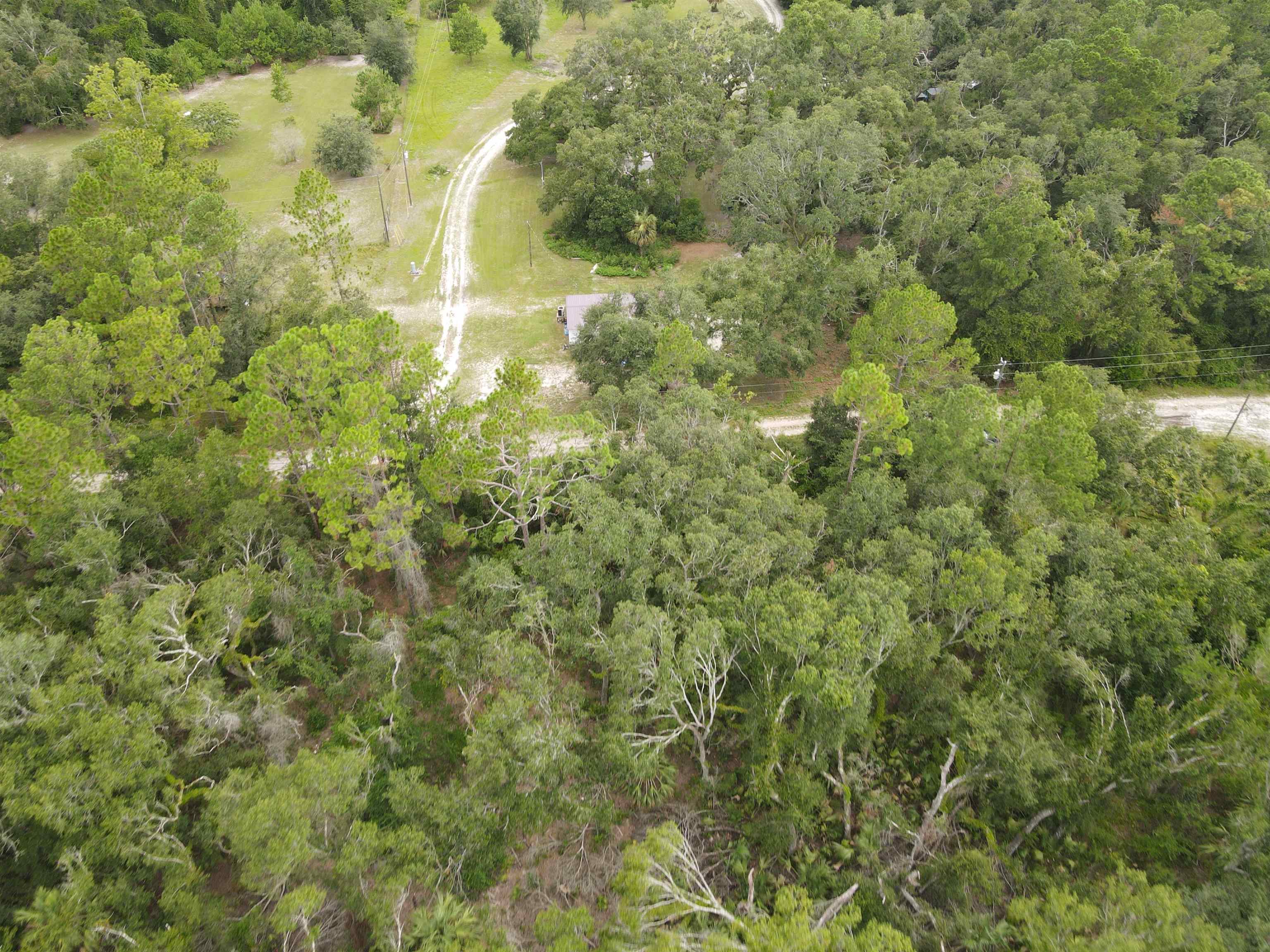 0 Kays Road Perry, FL 32347 - Photo 6 of 19