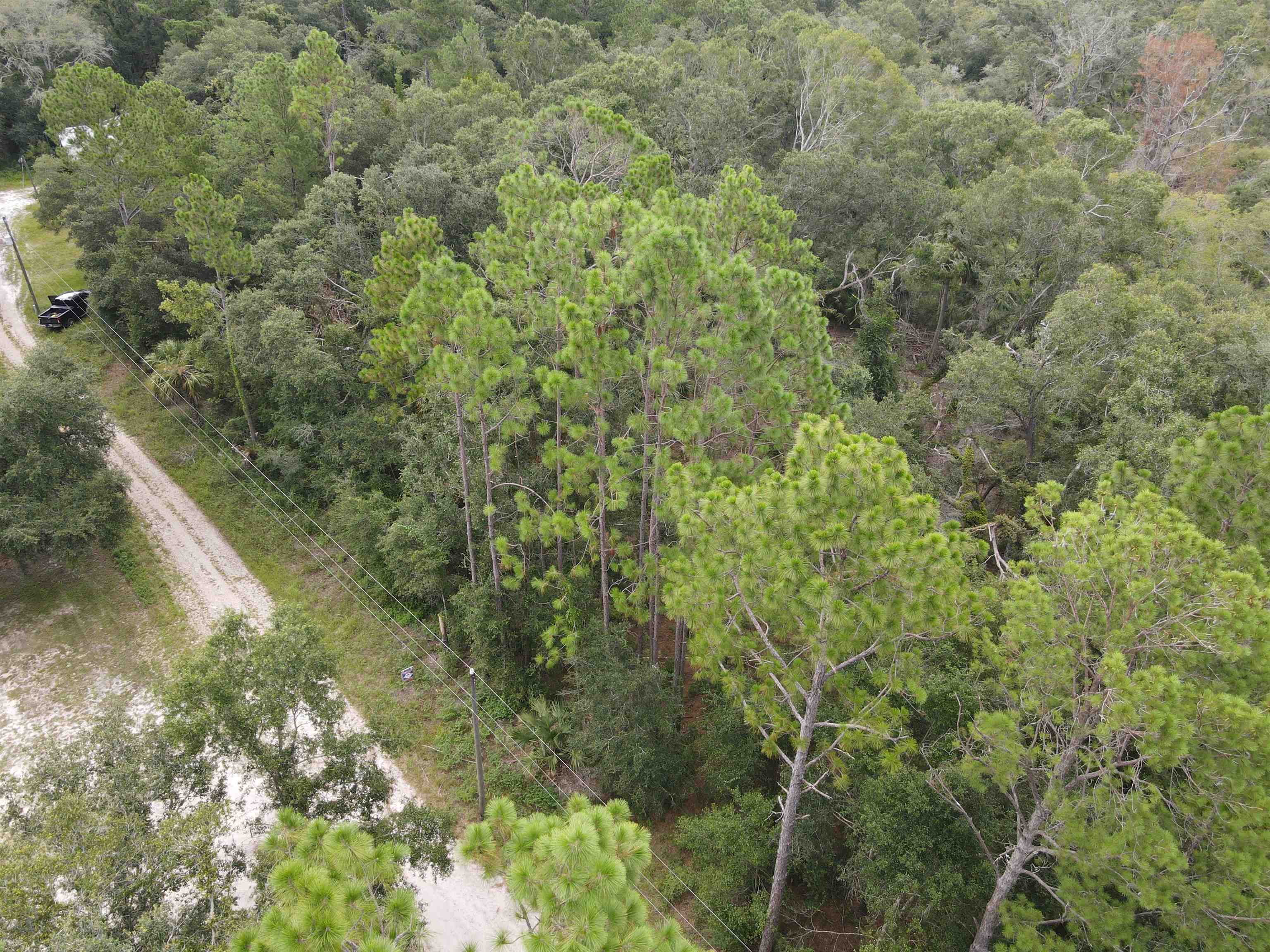0 Kays Road Perry, FL 32347 - Photo 10 of 19