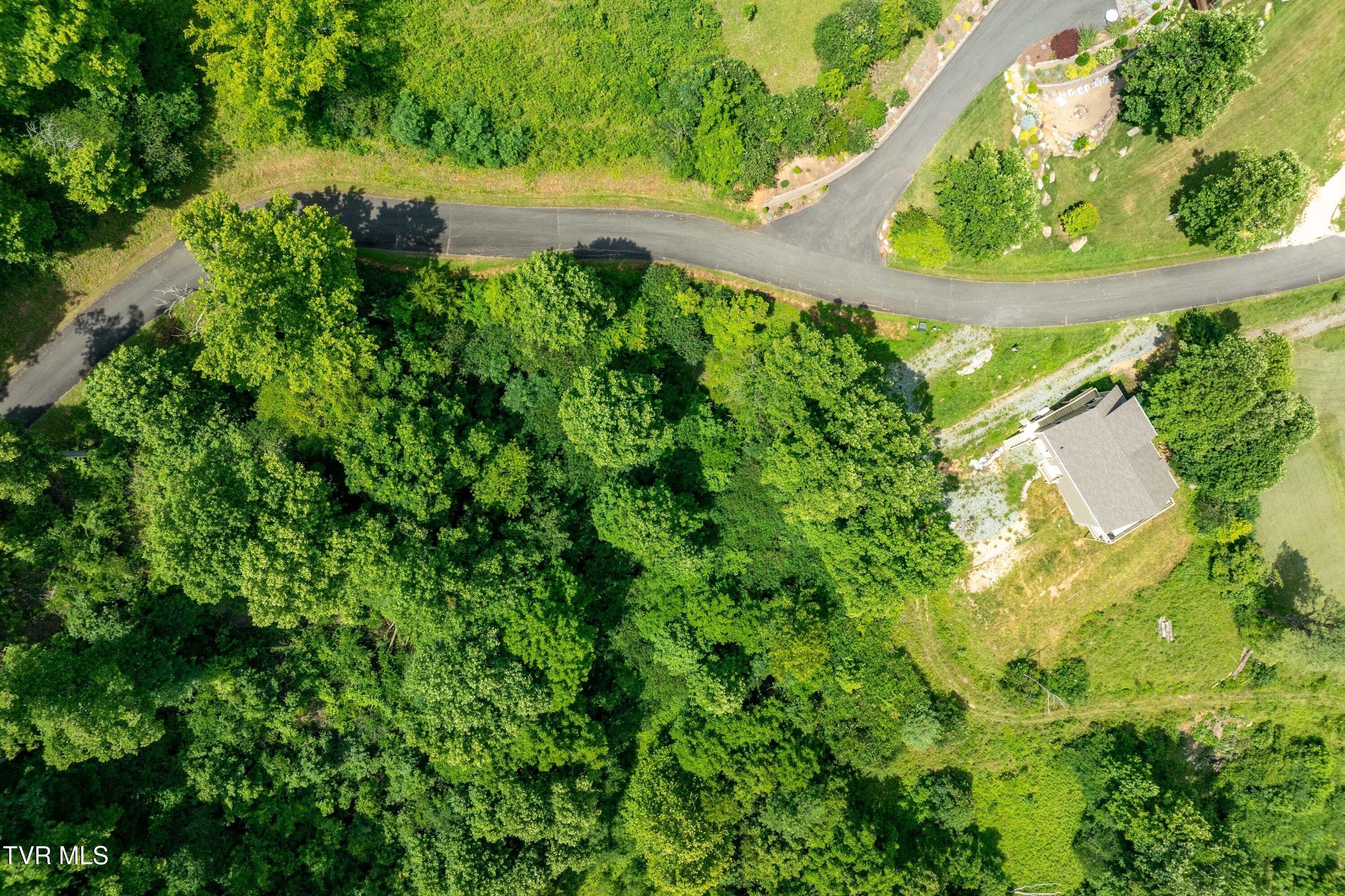 Lot 10 Lake Ridge Road, Unit 10 Butler, TN 37640 - Photo 2 of 24 Lot 10 (2 of 23)