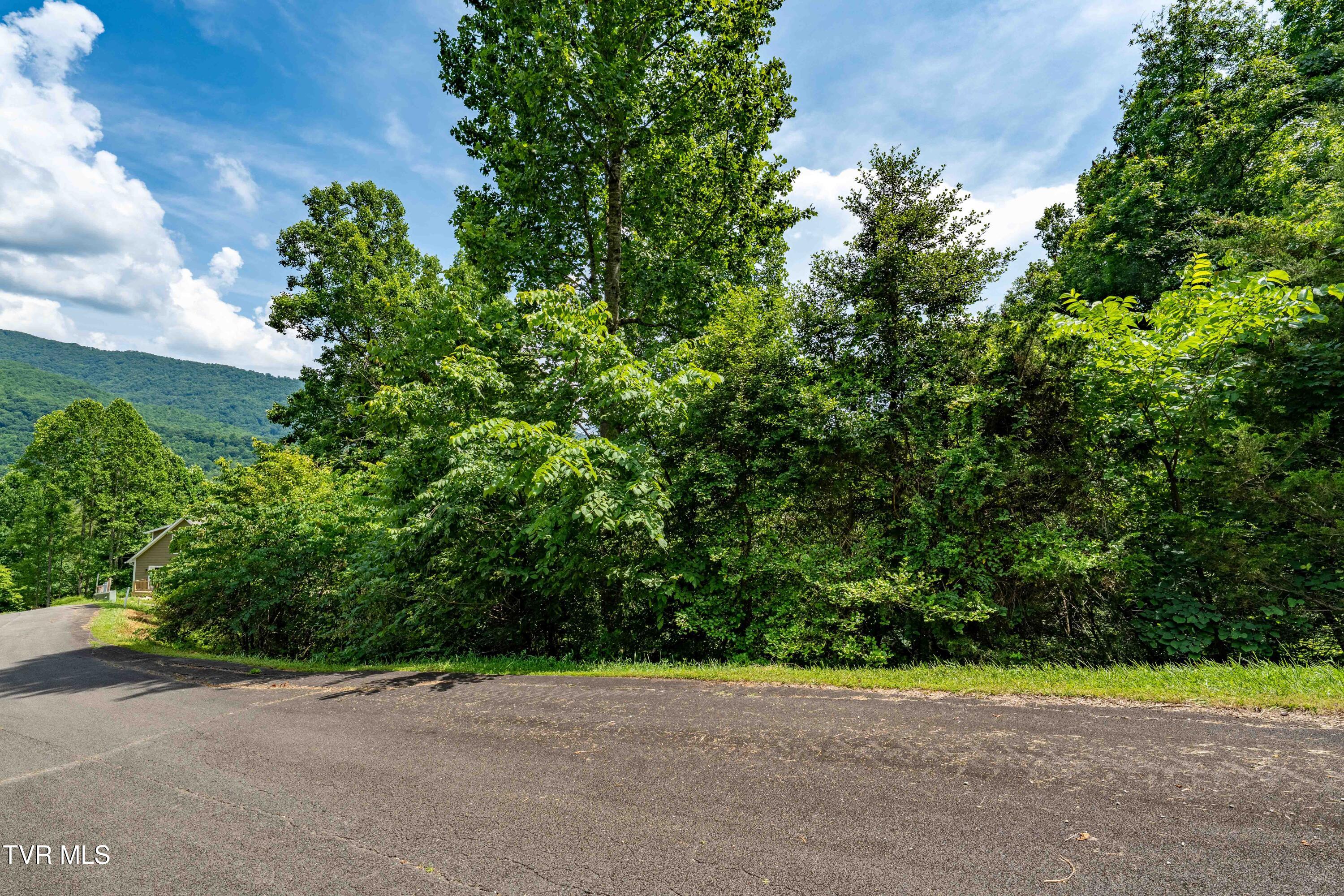 Lot 10 Lake Ridge Road, Unit 10 Butler, TN 37640 - Photo 21 of 24 Lot 10 (21 of 23)