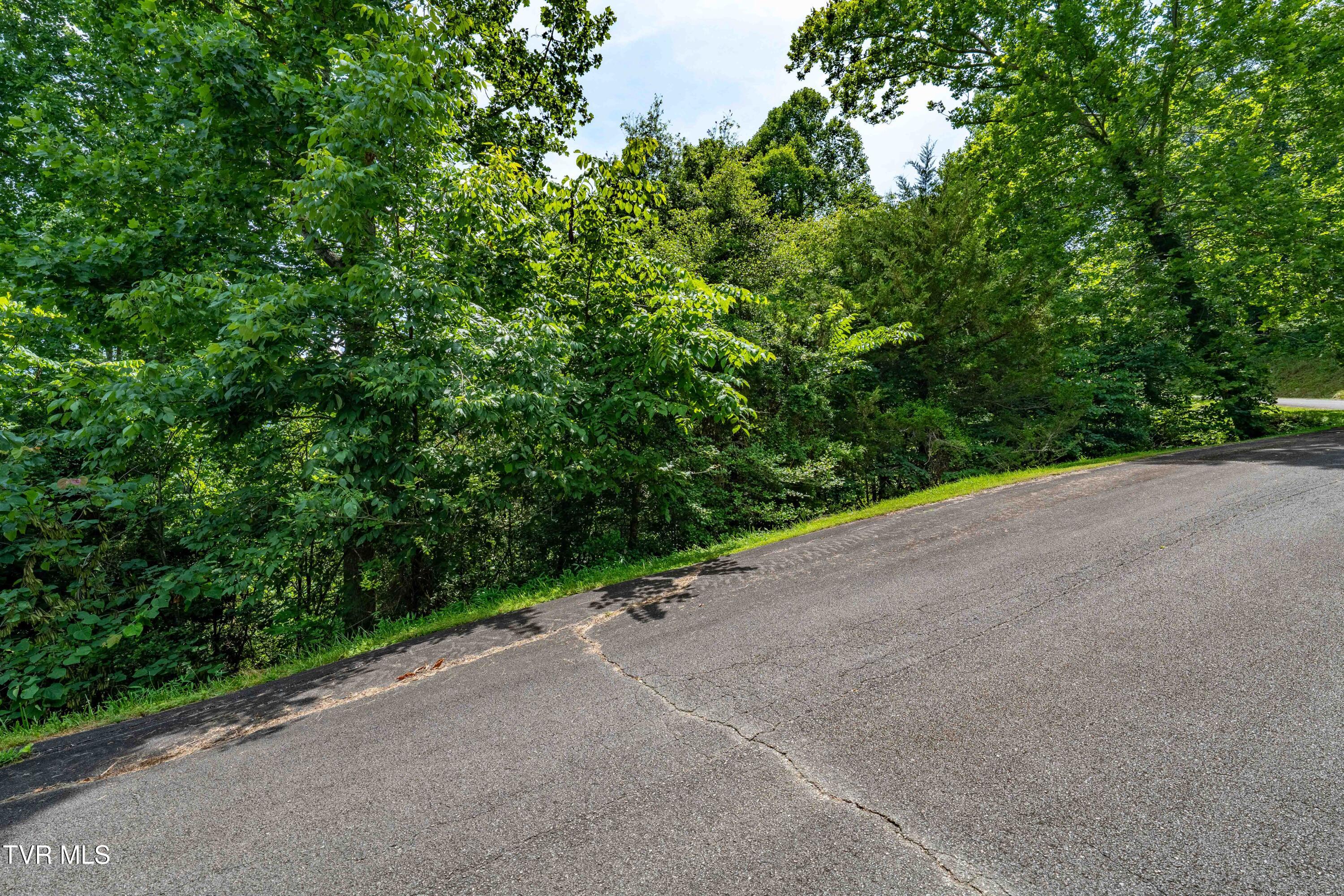 Lot 10 Lake Ridge Road, Unit 10 Butler, TN 37640 - Photo 22 of 24 Lot 10 (22 of 23)
