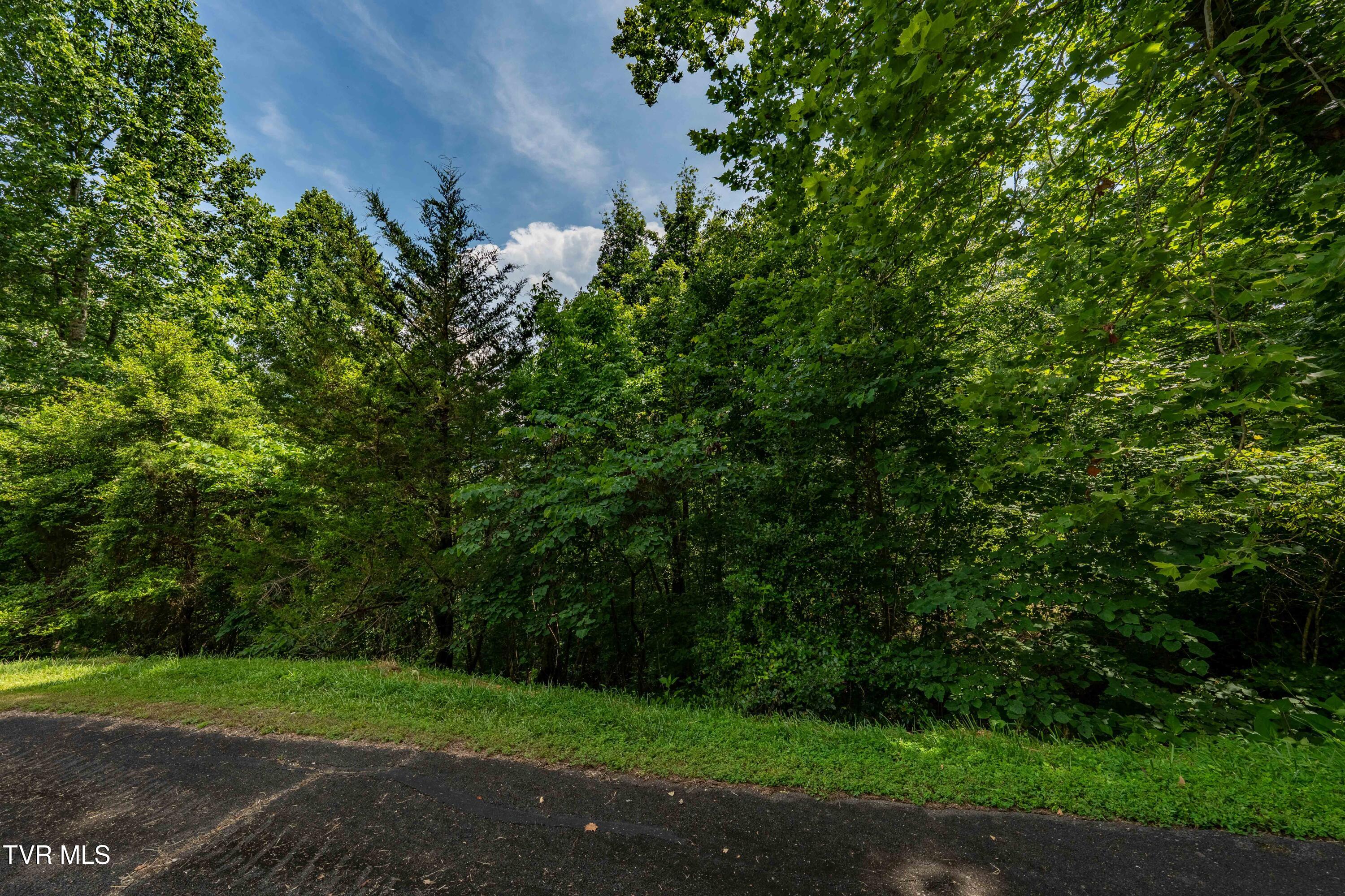 Lot 10 Lake Ridge Road, Unit 10 Butler, TN 37640 - Photo 23 of 24 Lot 10 (23 of 23)