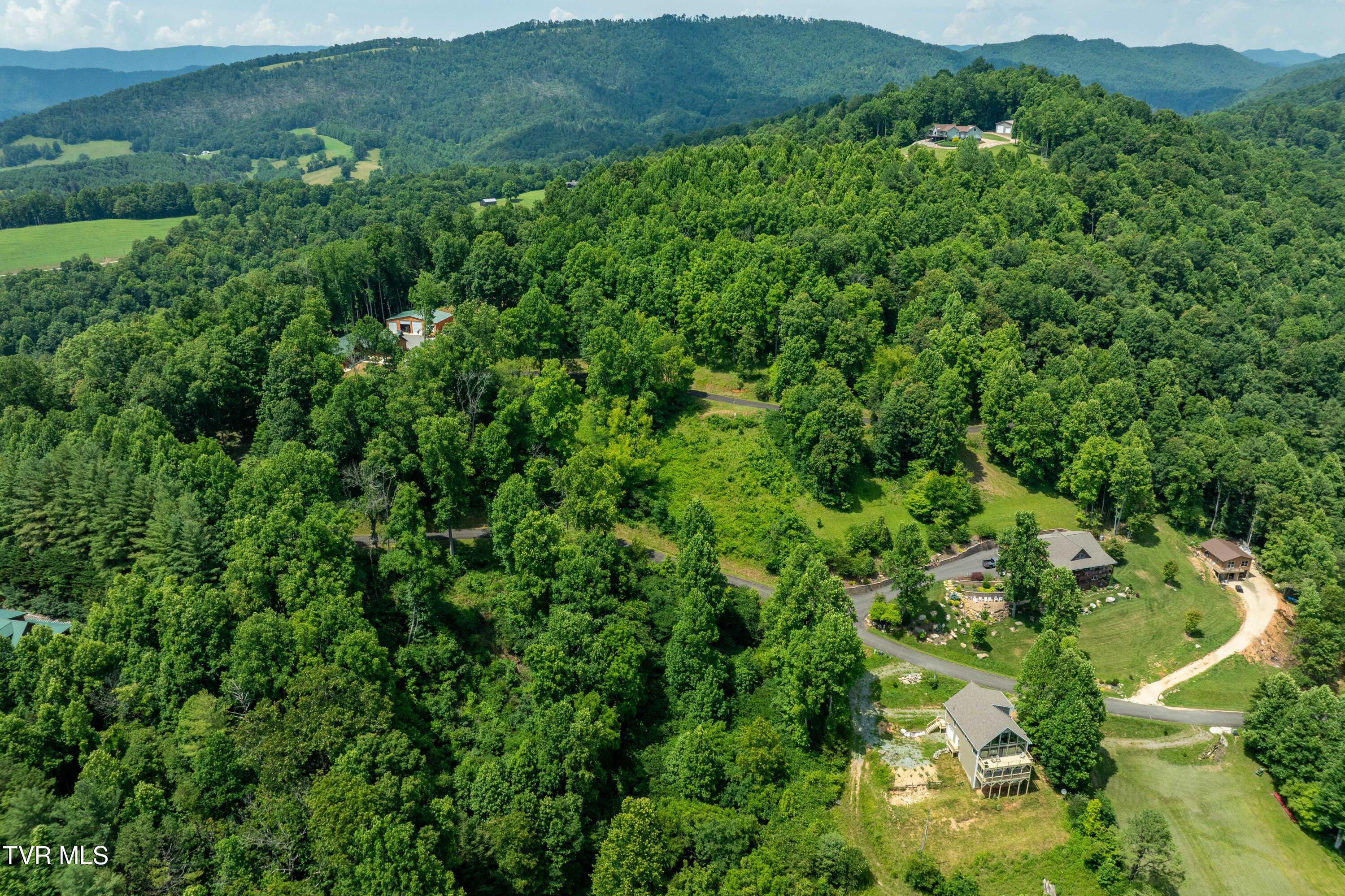 Lot 10 Lake Ridge Road, Unit 10 Butler, TN 37640 - Photo 6 of 24 Lot 10 (6 of 23)