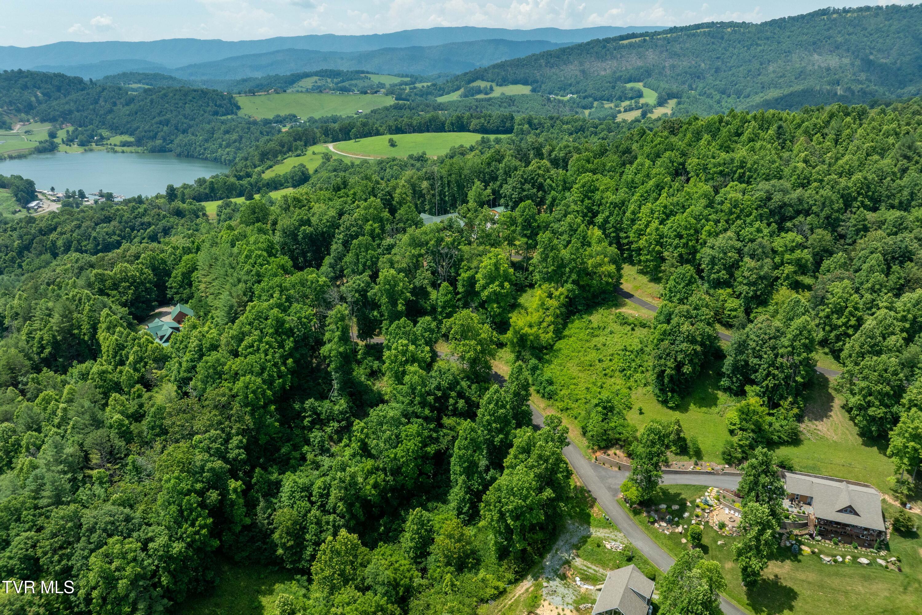 Lot 10 Lake Ridge Road, Unit 10 Butler, TN 37640 - Photo 8 of 24 Lot 10 (8 of 23)