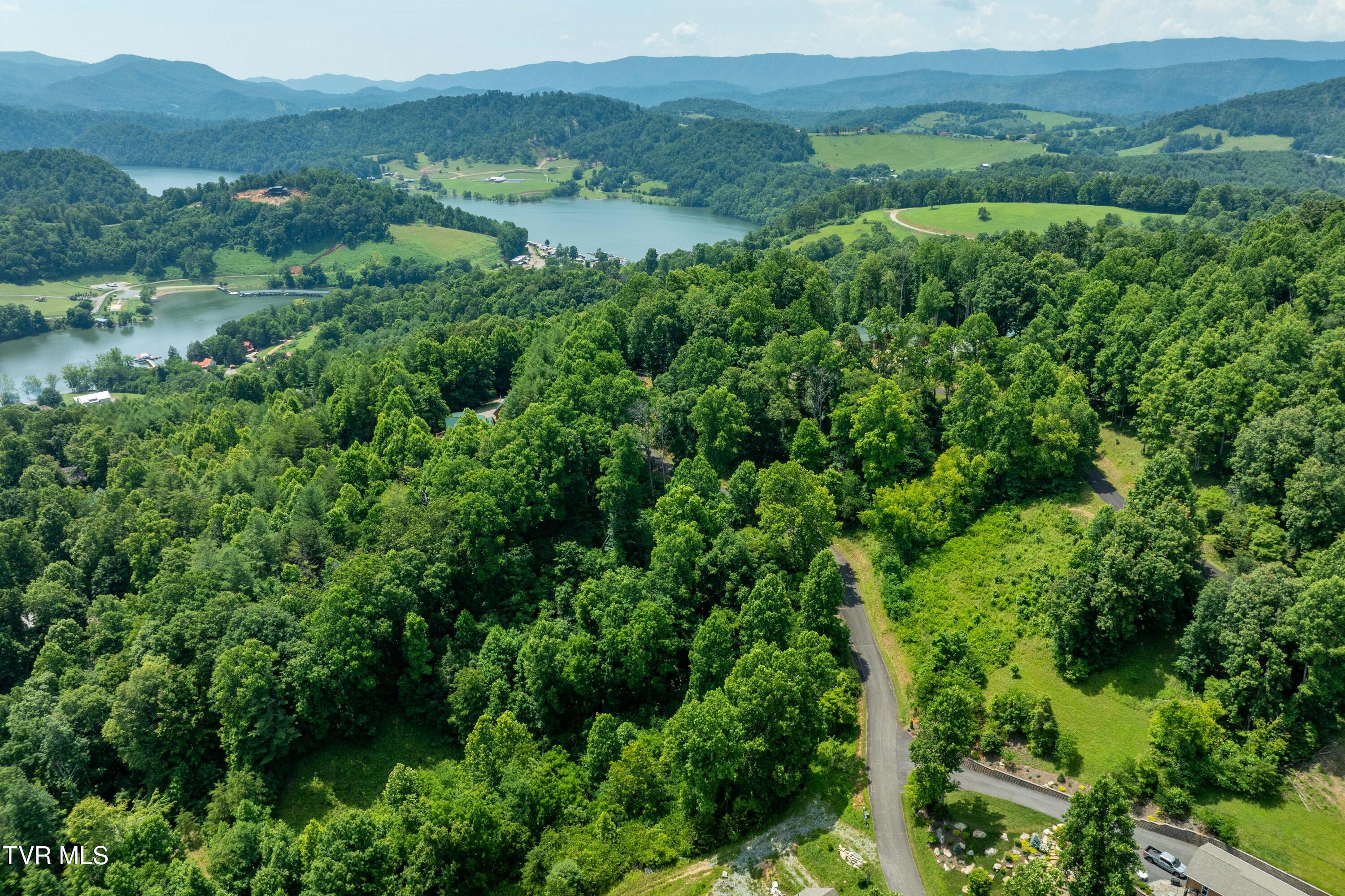 Lot 10 Lake Ridge Road, Unit 10 Butler, TN 37640 - Photo 10 of 24 Lot 10 (10 of 23)