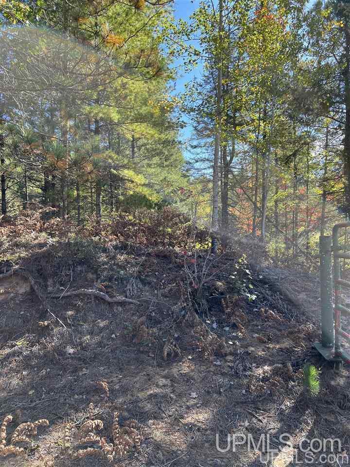 4091 Hiawatha Station Road Manistique, MI 49854 - Photo 13 of 24
